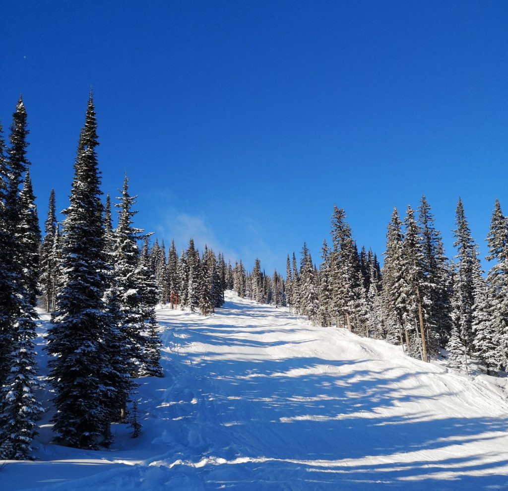 Five Tips to Thrive in Your First Canadian Winter