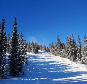 How to make the most of your Canadian winter 