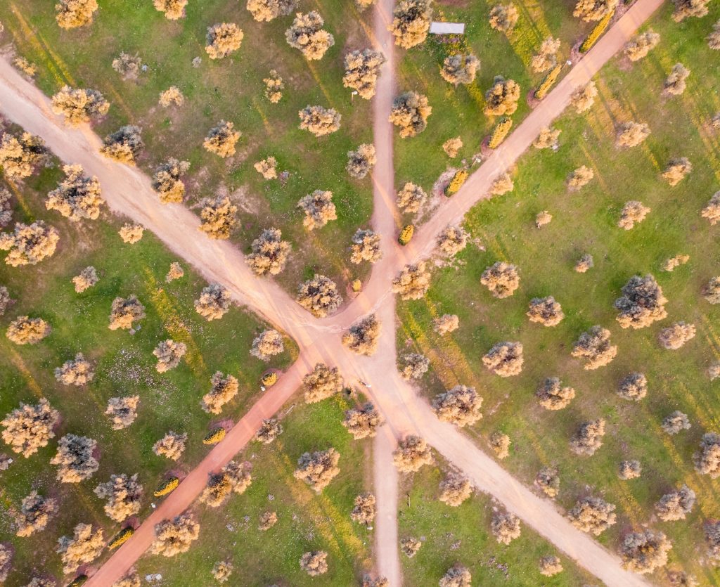 A bird's eye view of three intersecting paths 