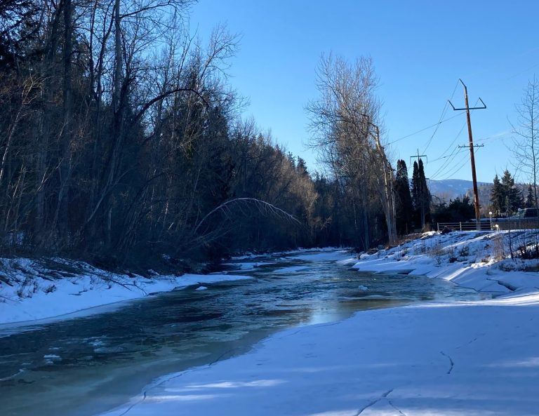 River through snow 